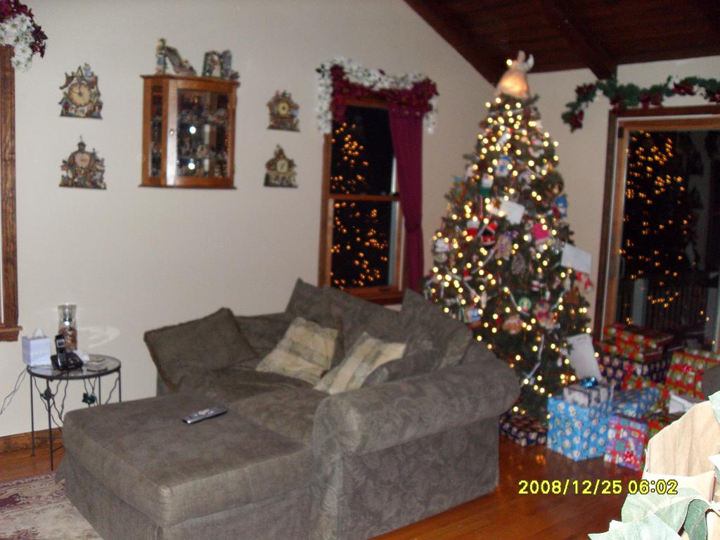 Christmas 2008 013.JPG